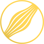 Stylized yellow muscle fiber icon inside a black circle