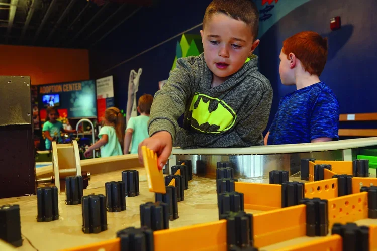 8.	young children discovering science through play in museum