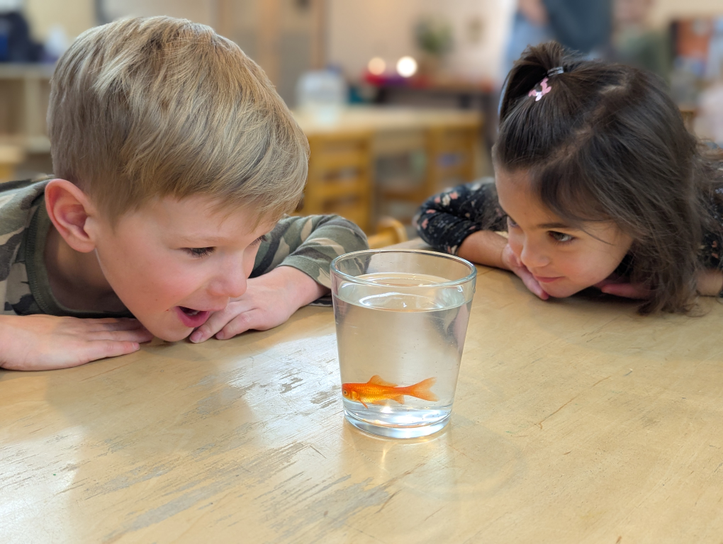 7.	nature-based preschool learning activities in Helena MT