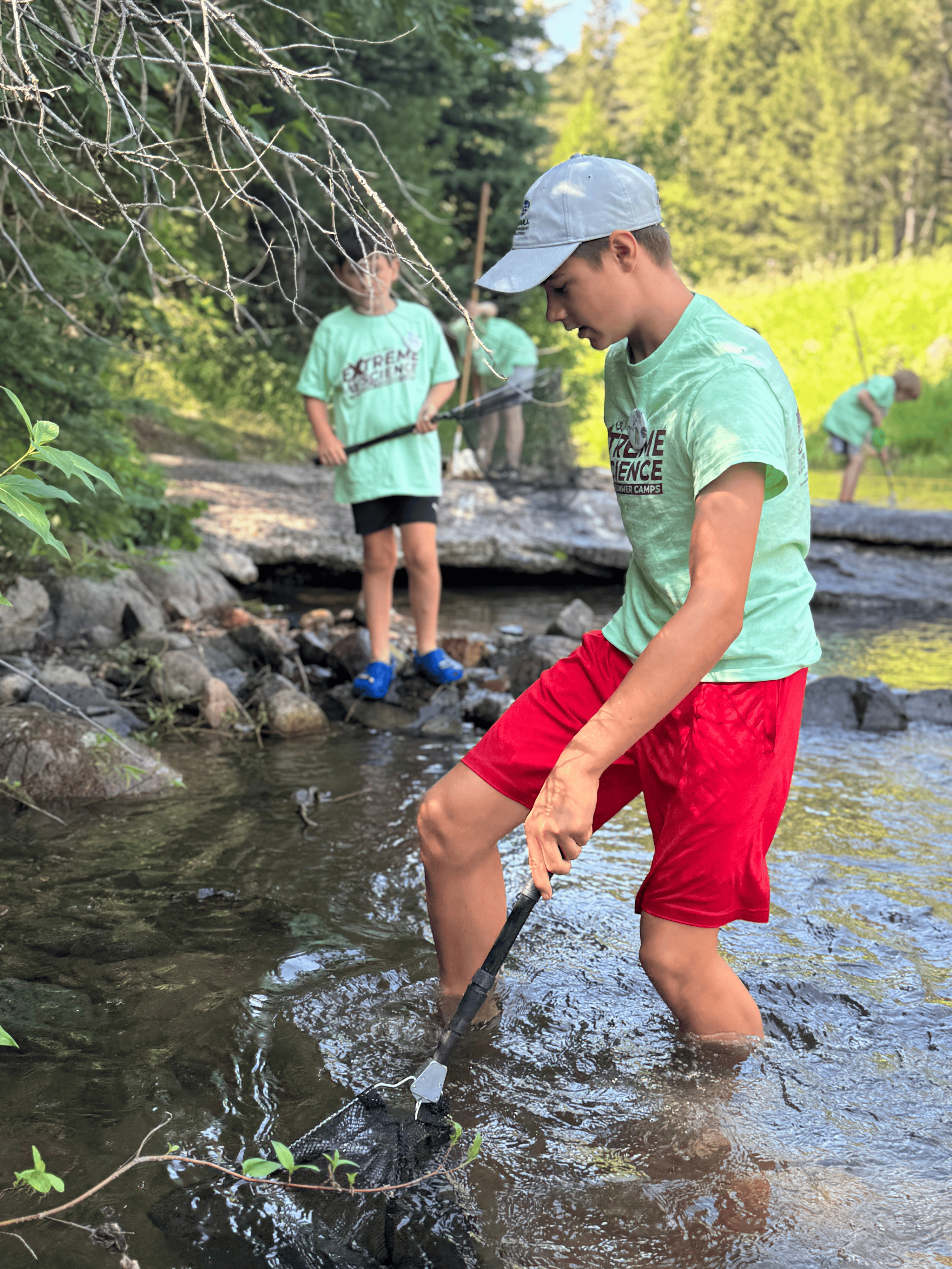 A group of children catch fish in a creek surrounded by trees, wearing casual summer clothes.