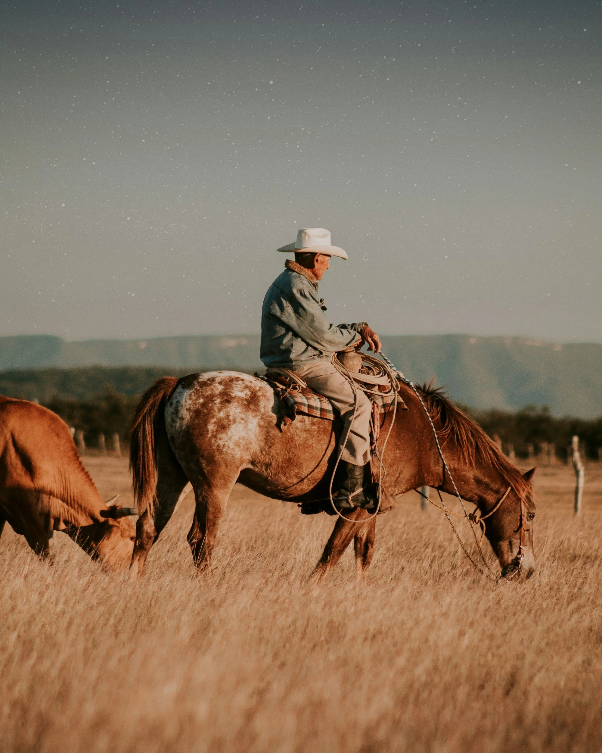 A cowboy wearing a white hat riding a brown and white speckled horse in a grassy field with a distant mountain range and starry night sky.