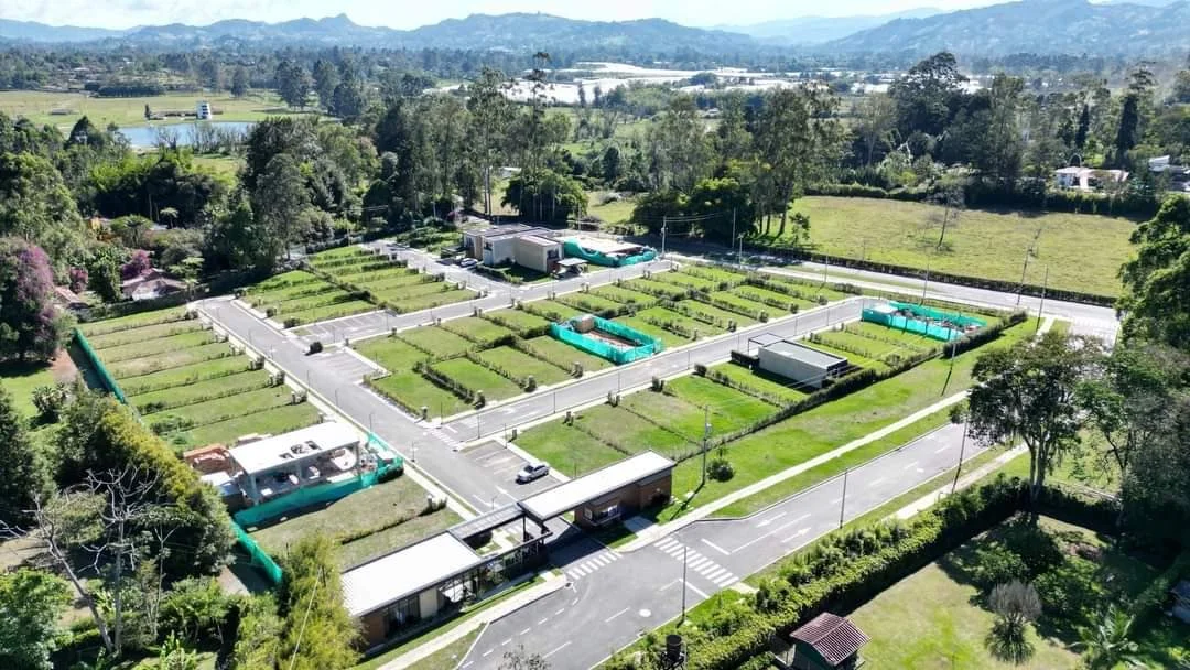 WhatsApp Image 2025-02-28 at 1.10.45 PM (2).jpeg