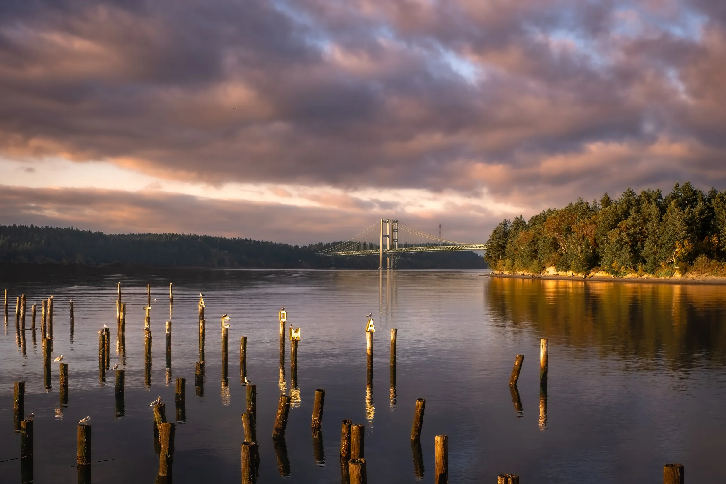 Twilight from Titlow Beach, matted