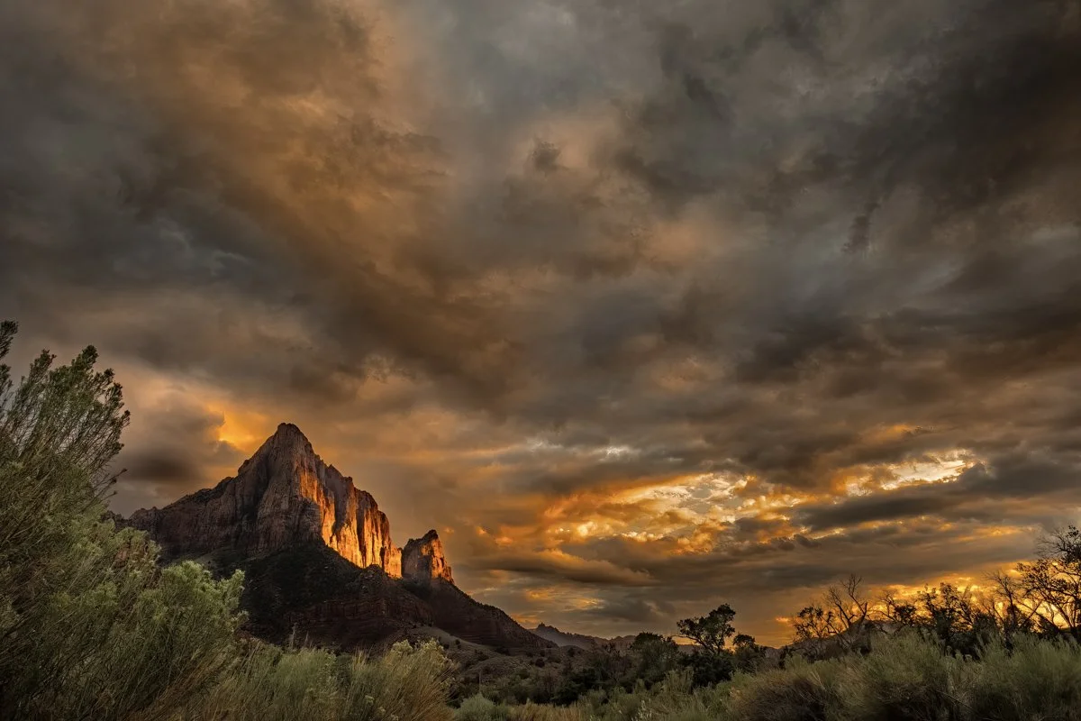 the watchman-2.jpg