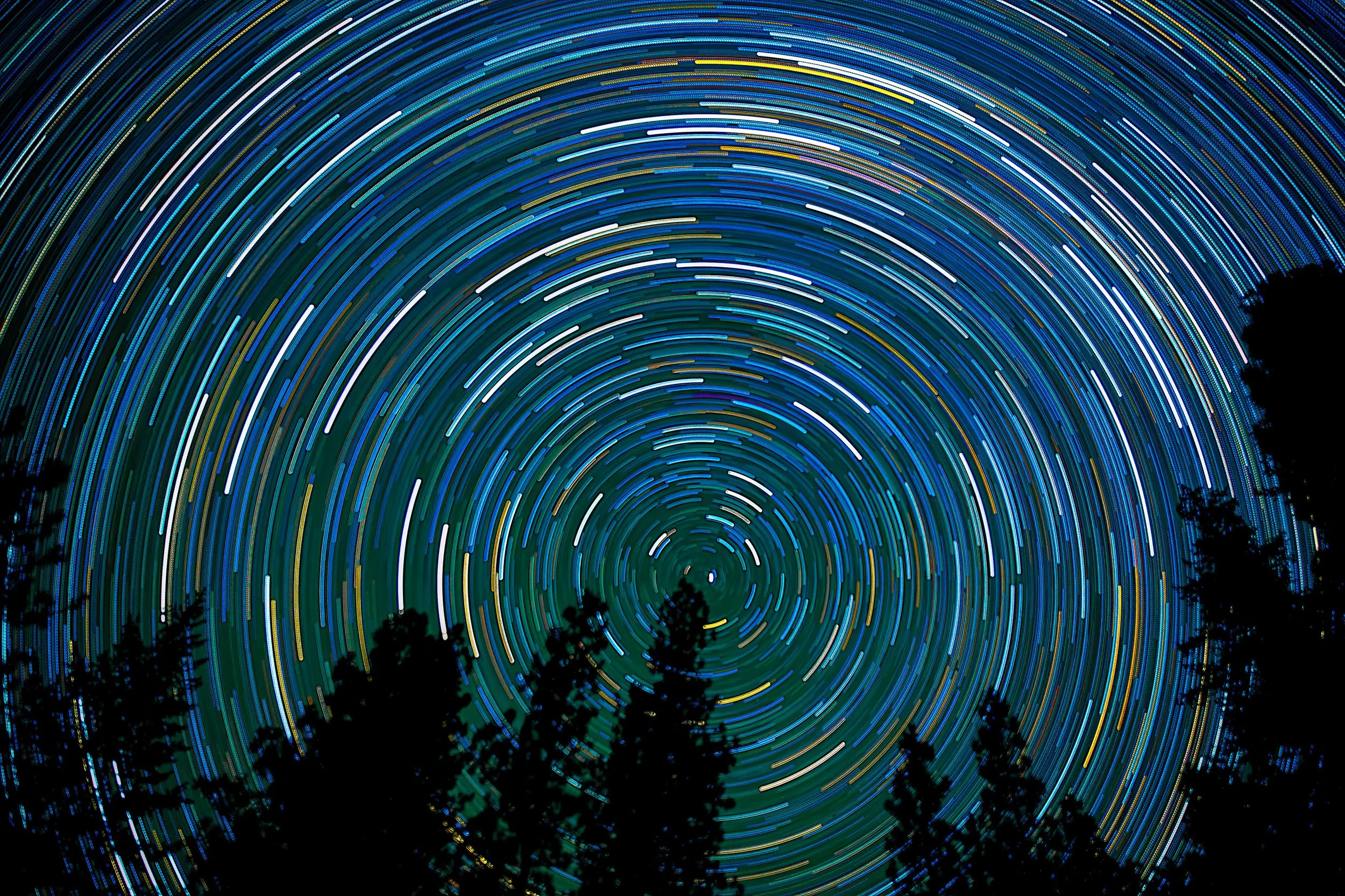 Long exposure photograph of star trails in the night sky over a silhouette of trees.
