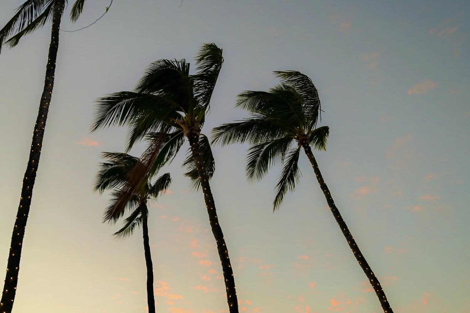 Lava Lava Beach Club Waikoloa photoshoot — DSC_7534.jpg
