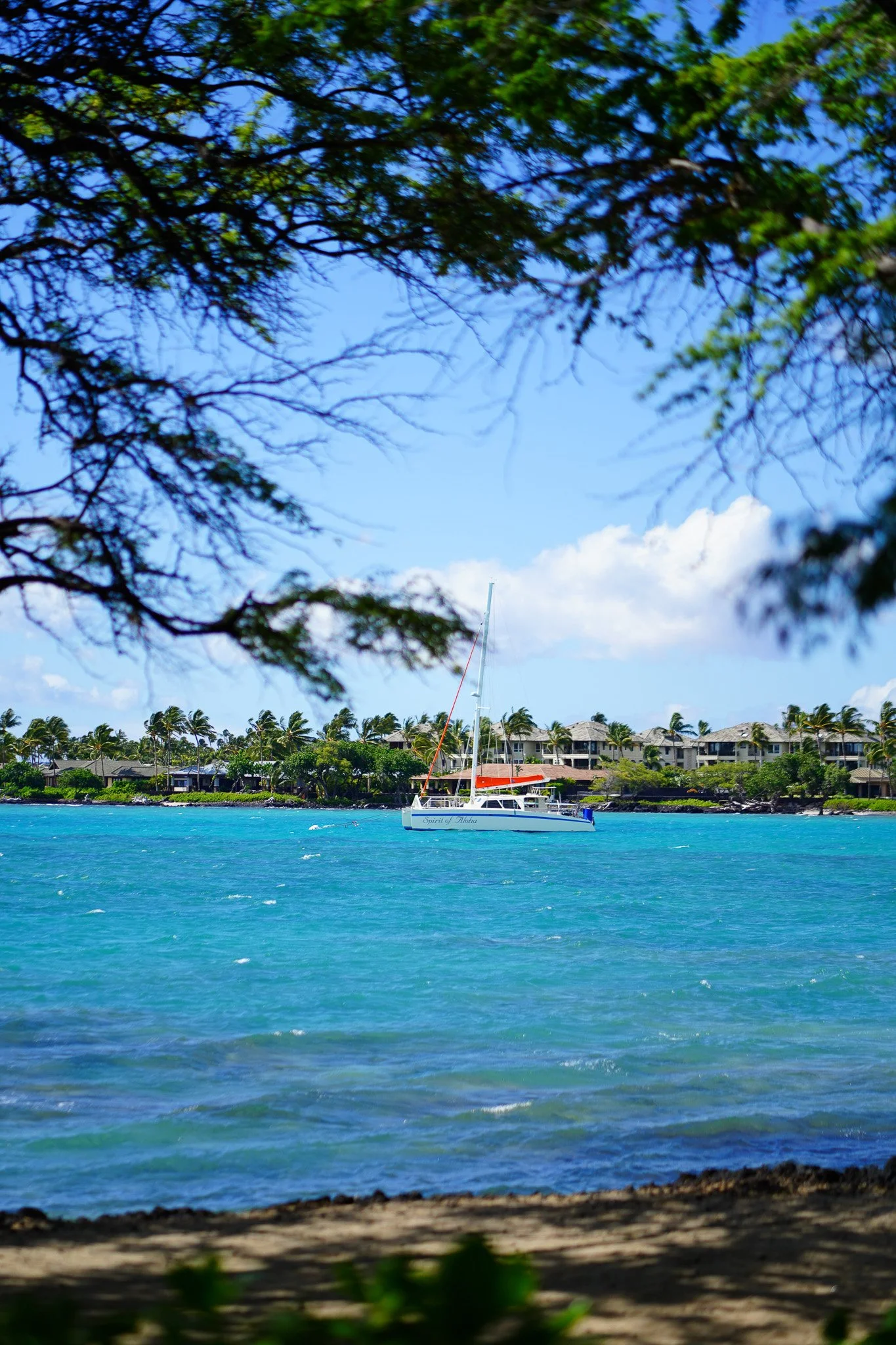 Lava Lava Beach Club Cottages photoshoot — HWI05382.jpg