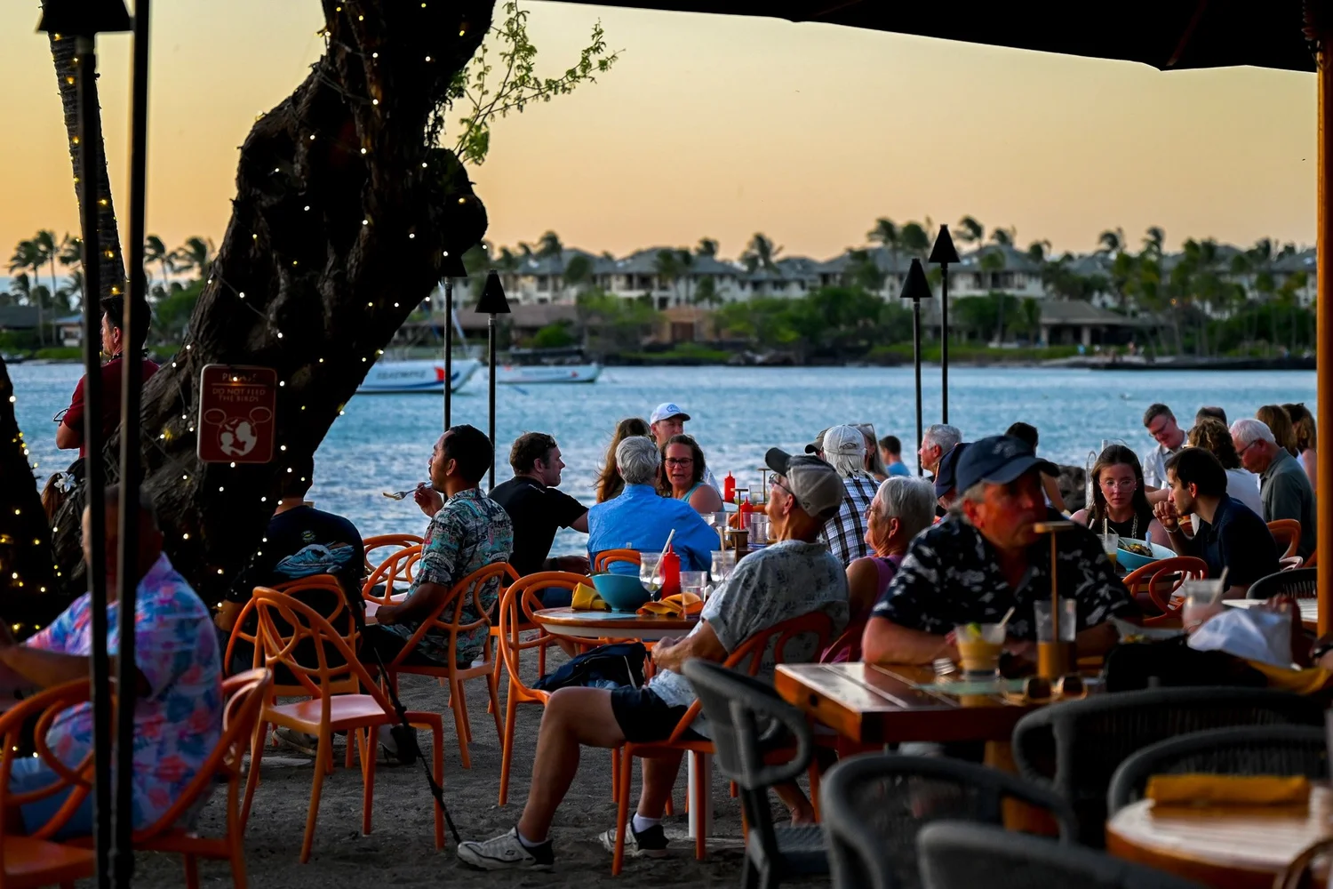 Lava Lava Beach Club Waikoloa photoshoot — DSC_7503.jpg