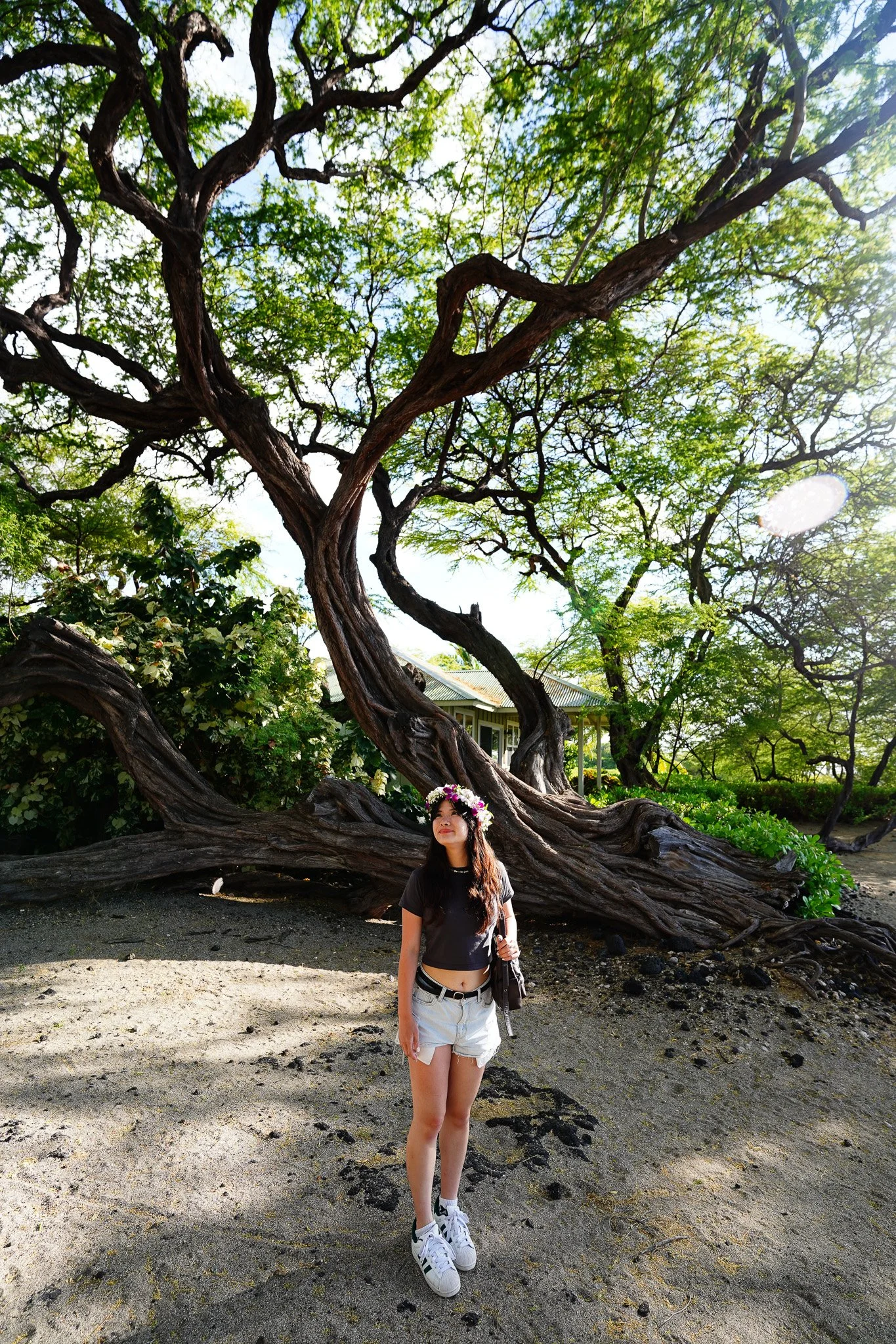 Lava Lava Beach Club Cottages photoshoot — HWI05667.jpg
