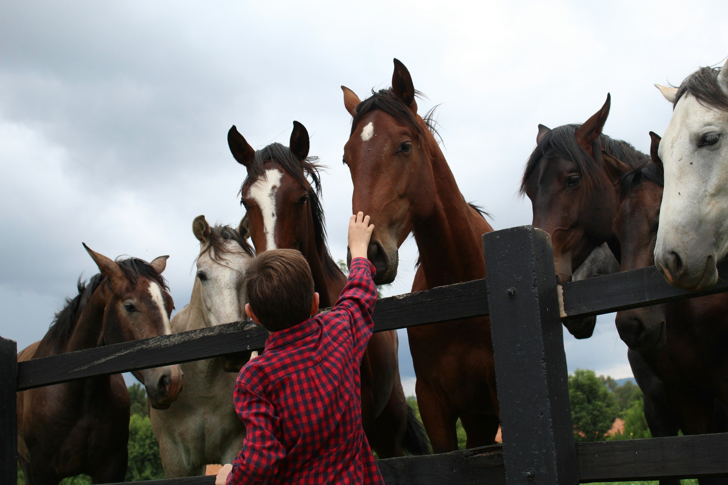 Equine Science Seasonal Class