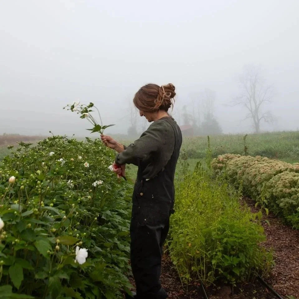 Alisa in the field for a foggy morning flower harvest.