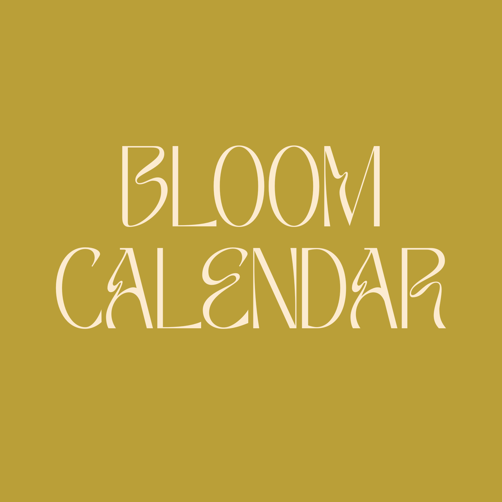 Social thumbnail (3).png