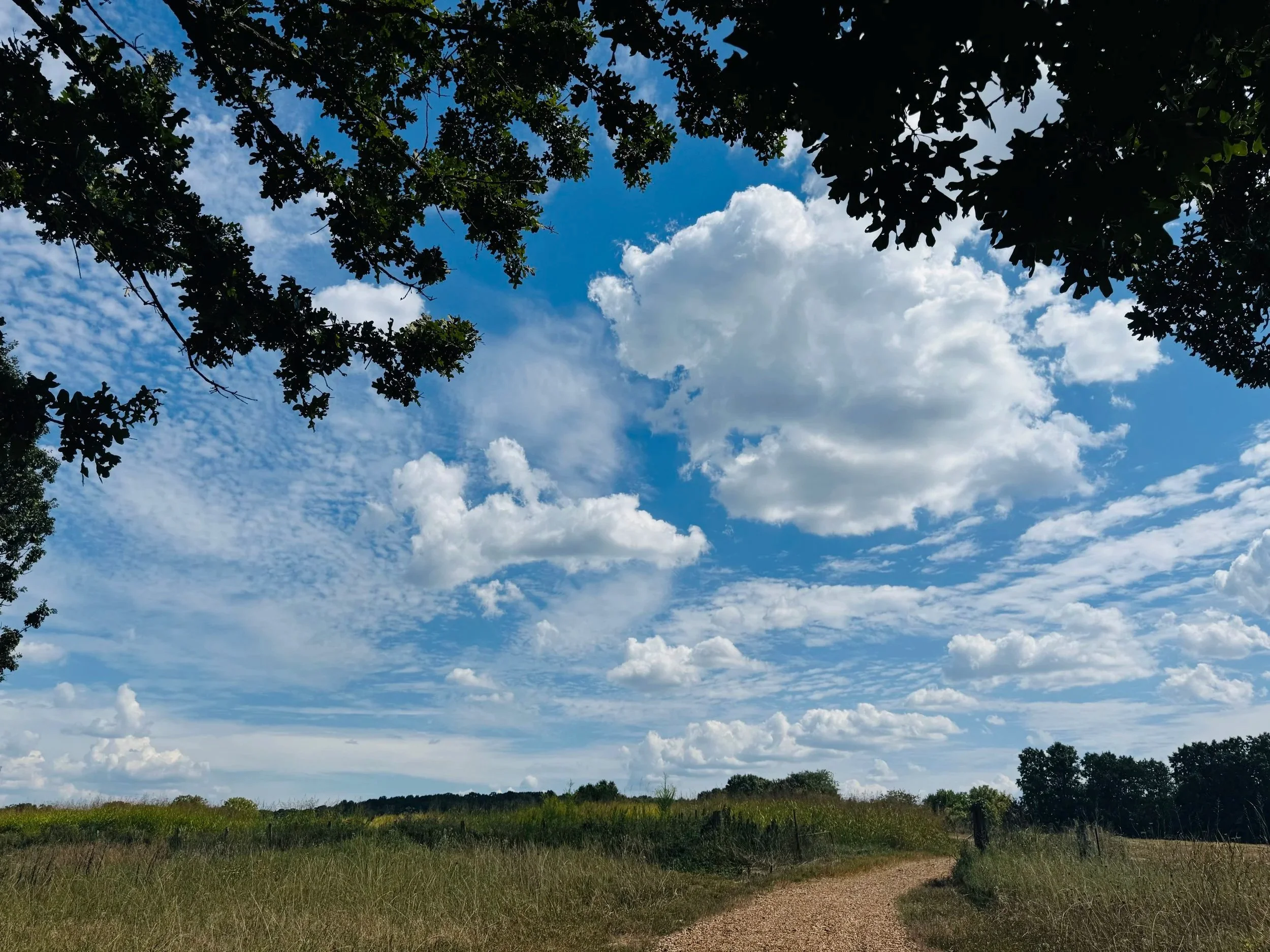 A Missouri Girl Goes Sacred &amp; Strange