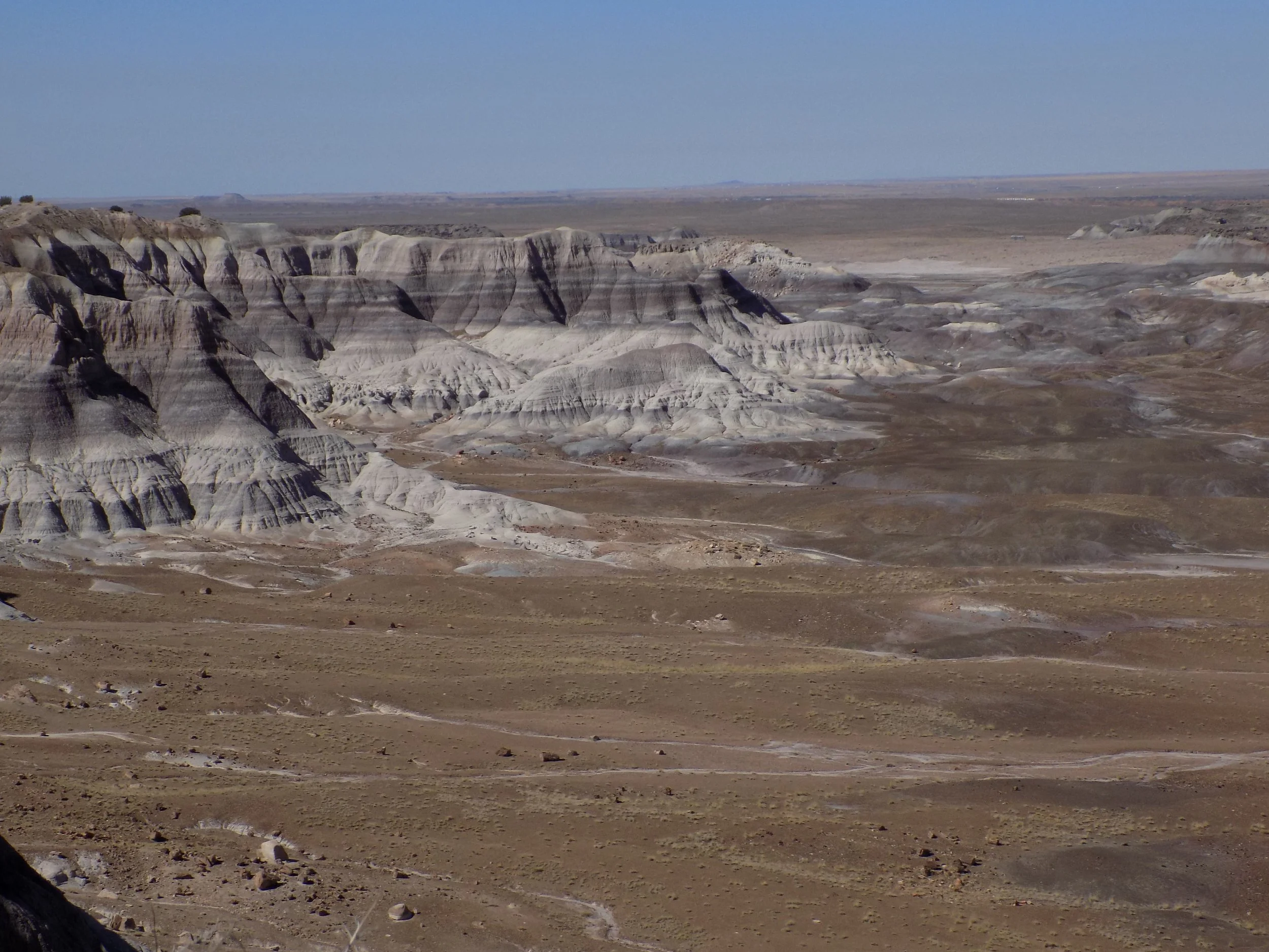 The Magi: Who They Were, What They Believed, and Where the Nativity Story Took a Strange Turn