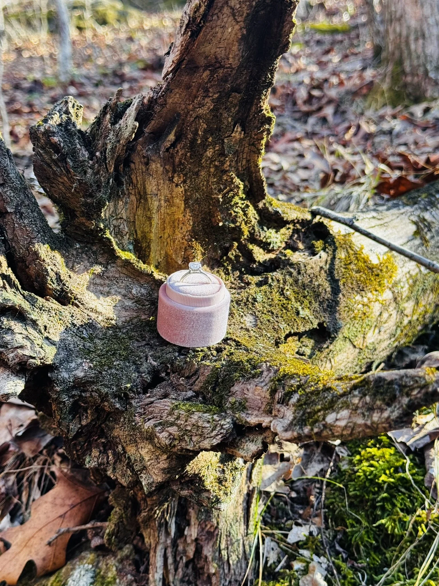 Weddings, Divorces &amp; Soul Ties, Oh My! (Part 2)