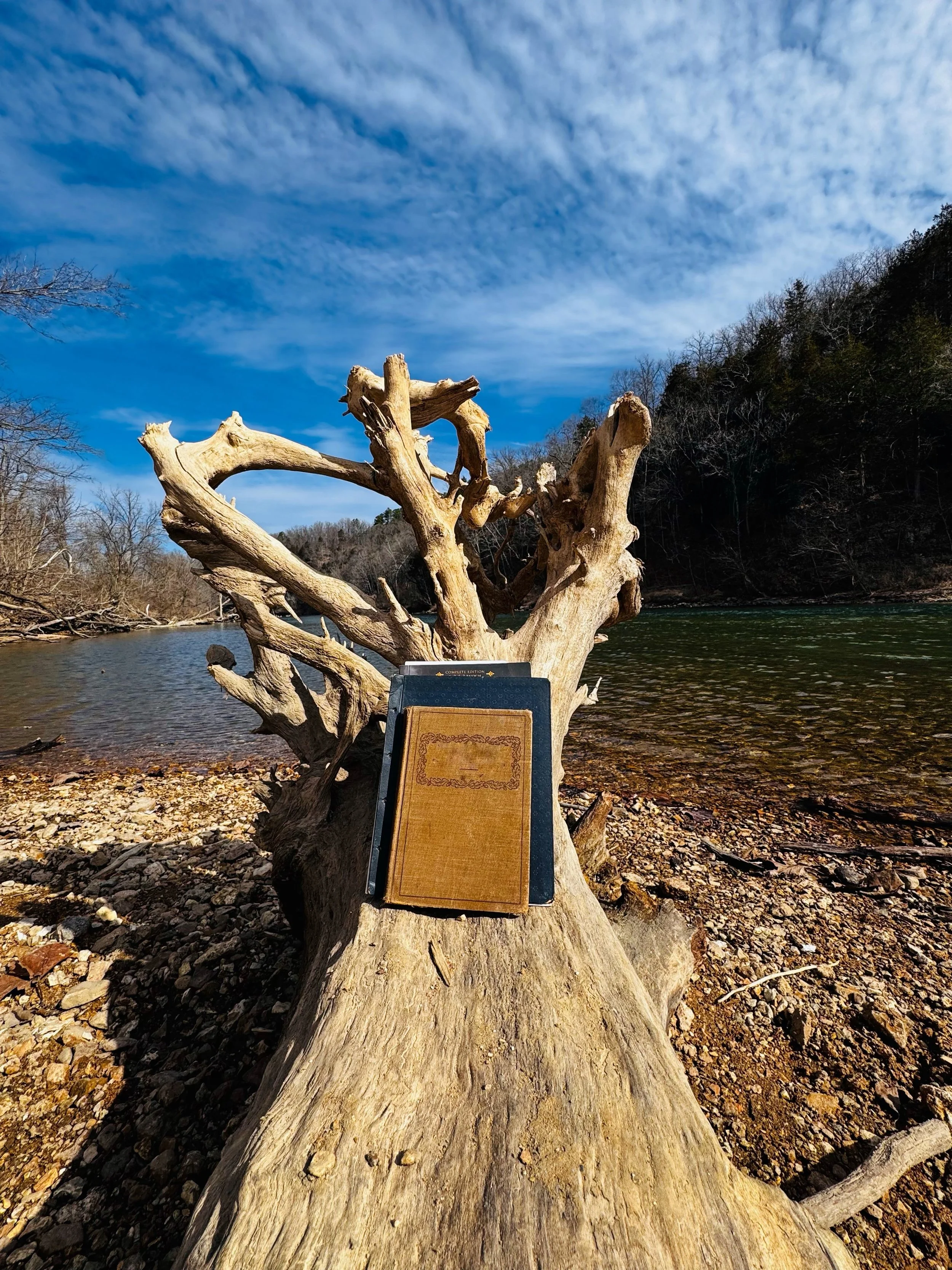 The Book They Never Mentioned - An Introduction to The Book of Enoch for the Curious Evangelical