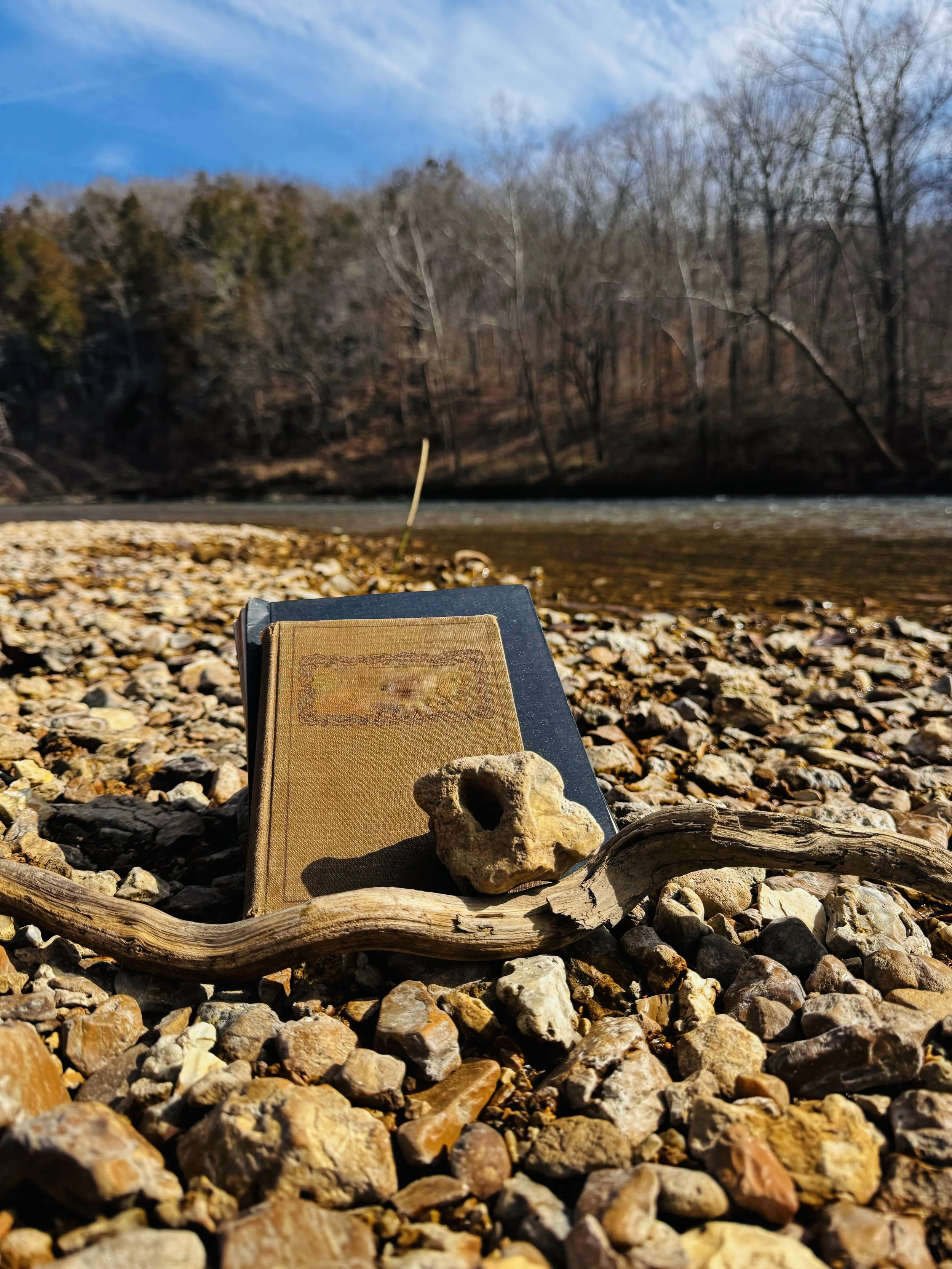 The Book We Always Talked About - Or, Did We Misunderstand the Book of Revelation?