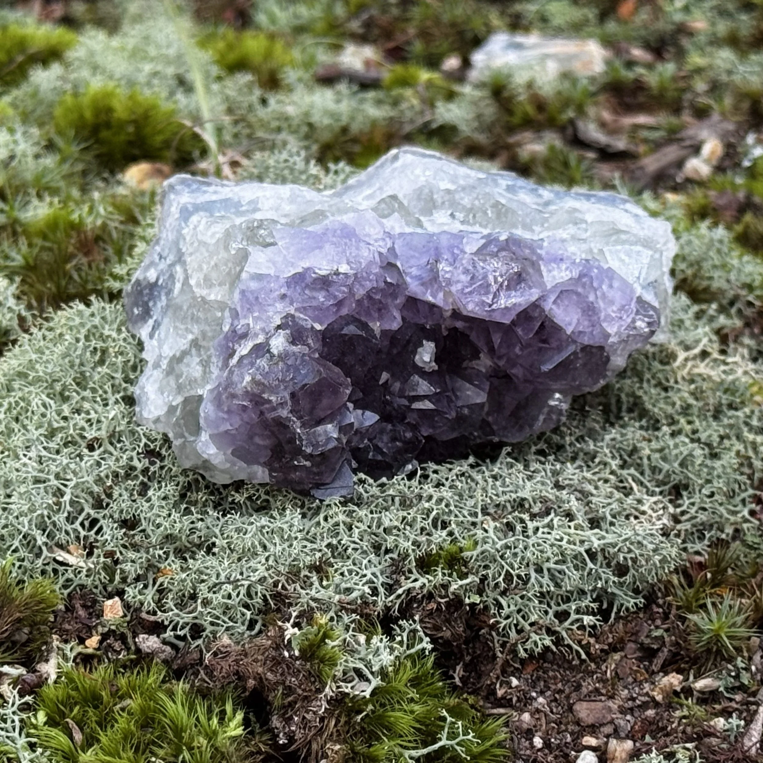 Can Crystals Point to the Creator? Hildegard of Bingen's Surprising Answer (Part 2)