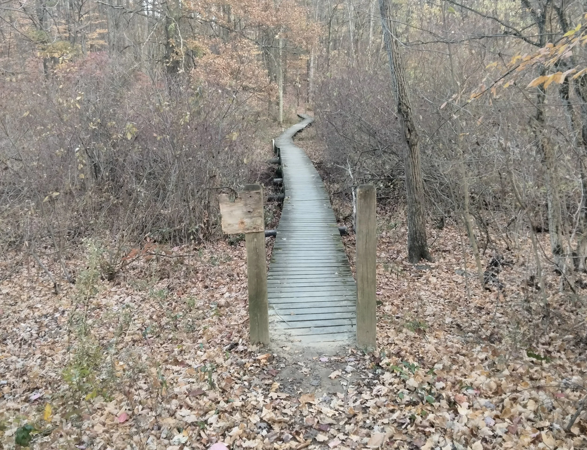 The Small Peace Studio Alliance Ohio, Diana Dunn, therapy for depression, therapist for anxiety, trauma therapist, art therapy