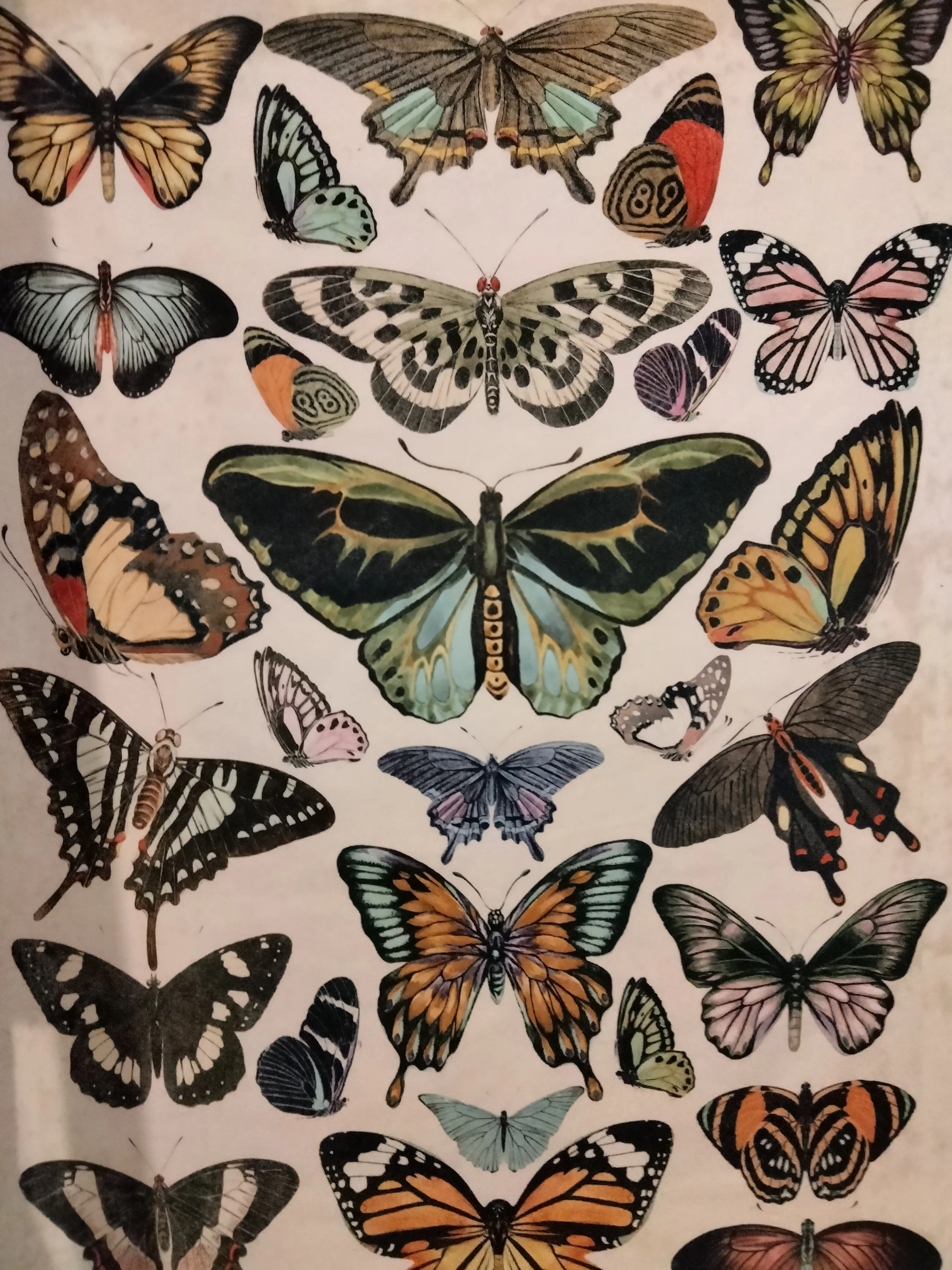 The Small Peace Studio LLC Alliance Ohio Art Therapy Counseling CEU Workshops