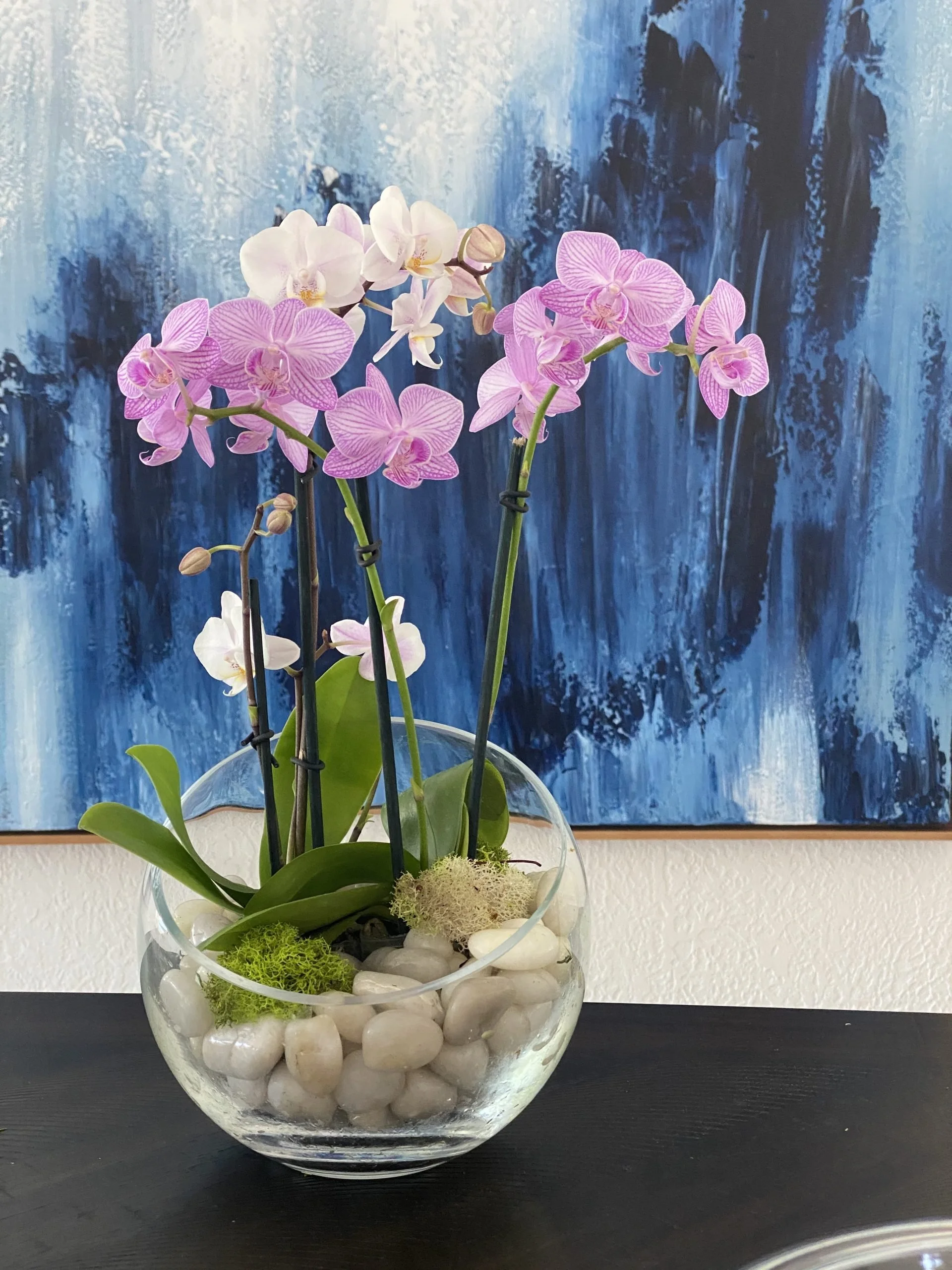 Luxury Orchid Arrangement