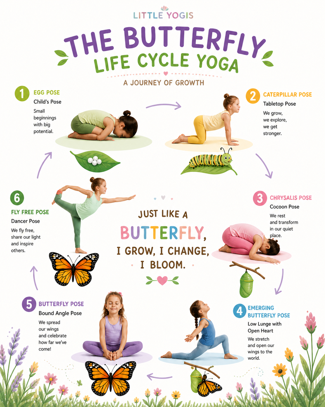 Butterfly Lifecycle.png