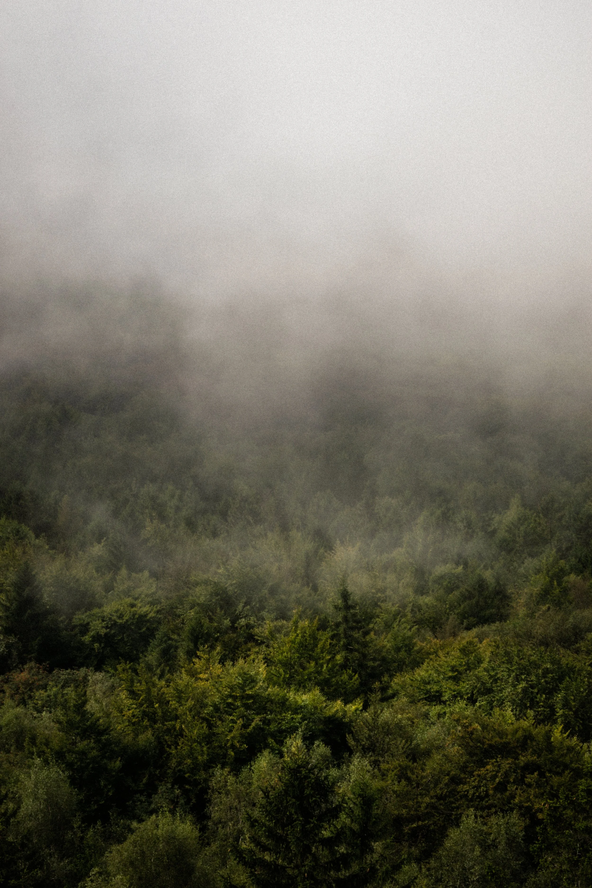 DSC_7430.jpeg