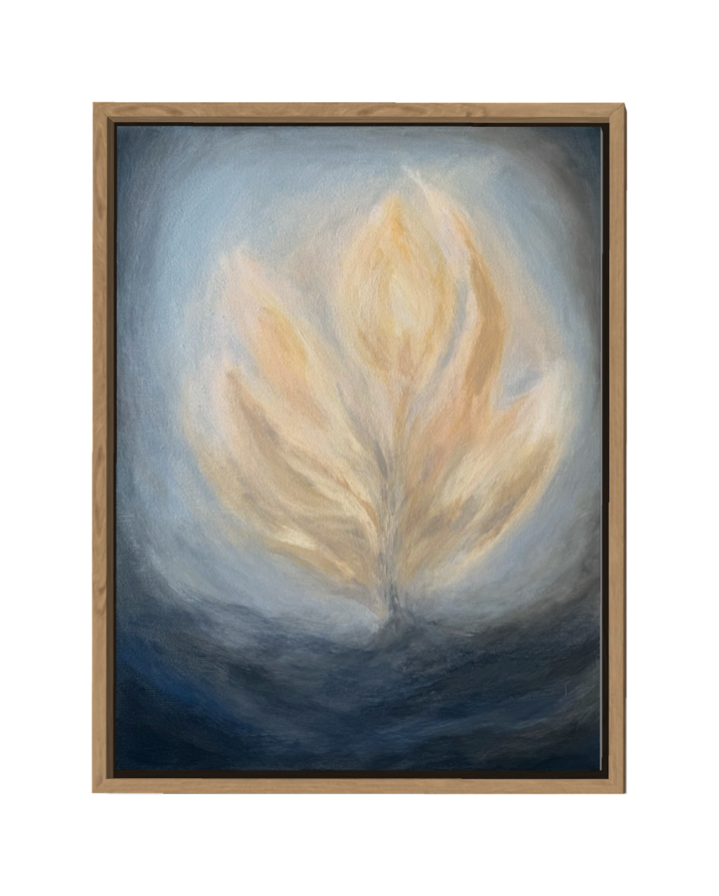 IMG_1646.png