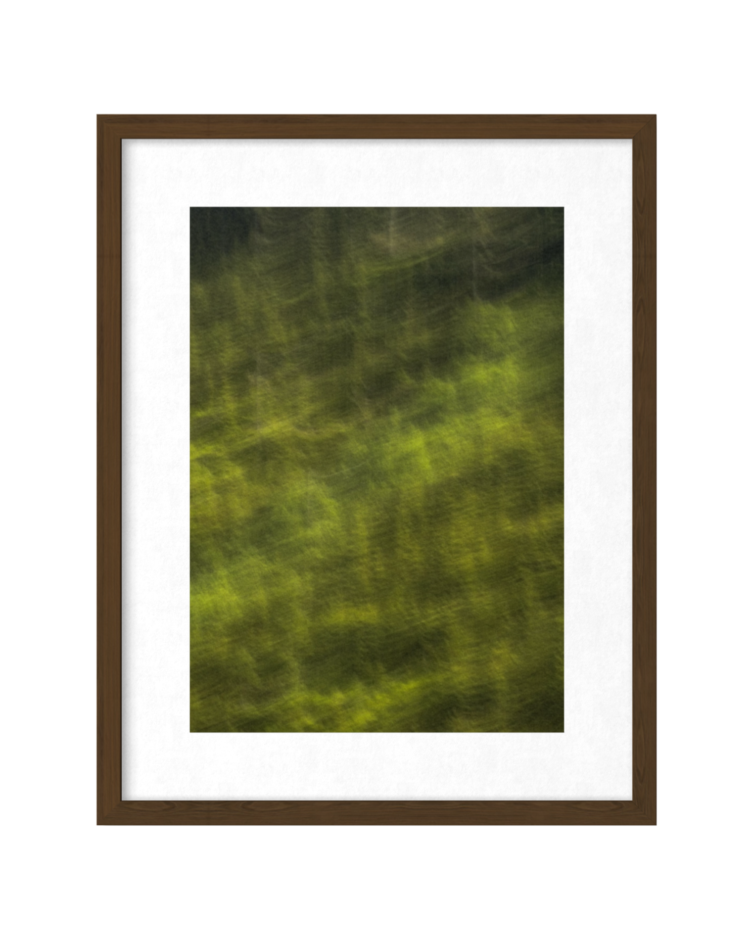 Fotografia Forest Memory (Stillness Before Form)