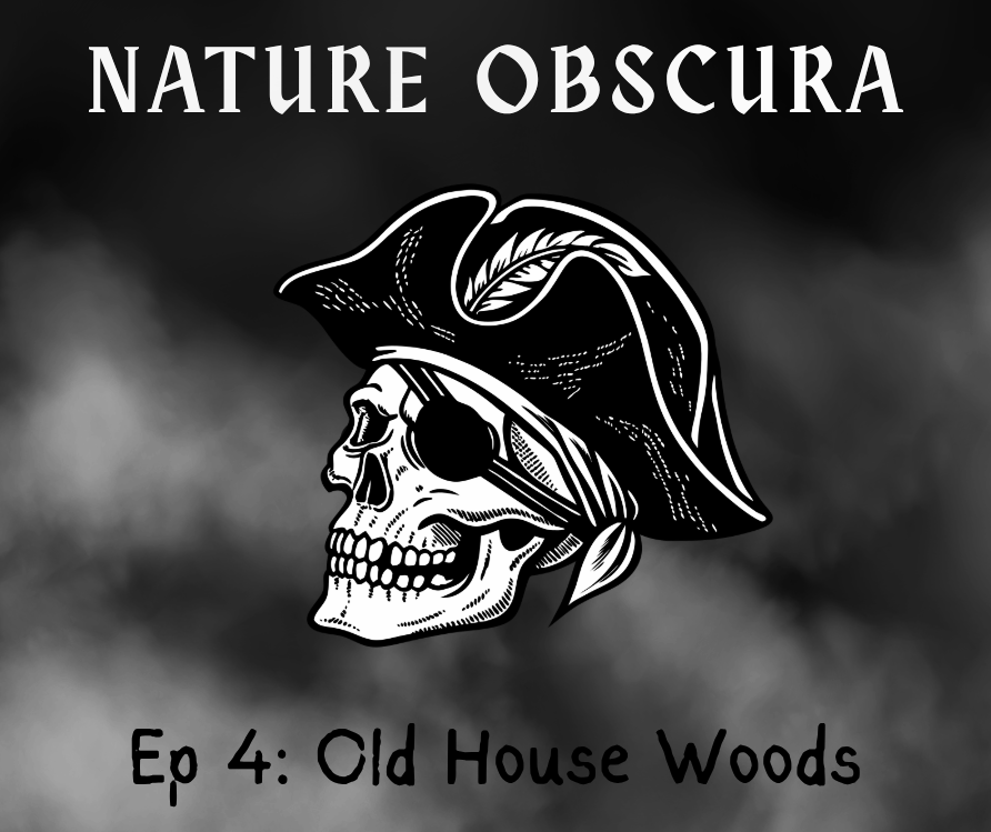 Old House Woods: Virginia’s Haunted Forest