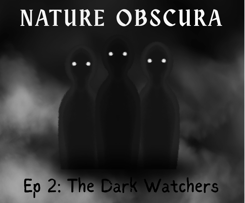 The Dark Watchers Legend: California’s Santa Lucia Range