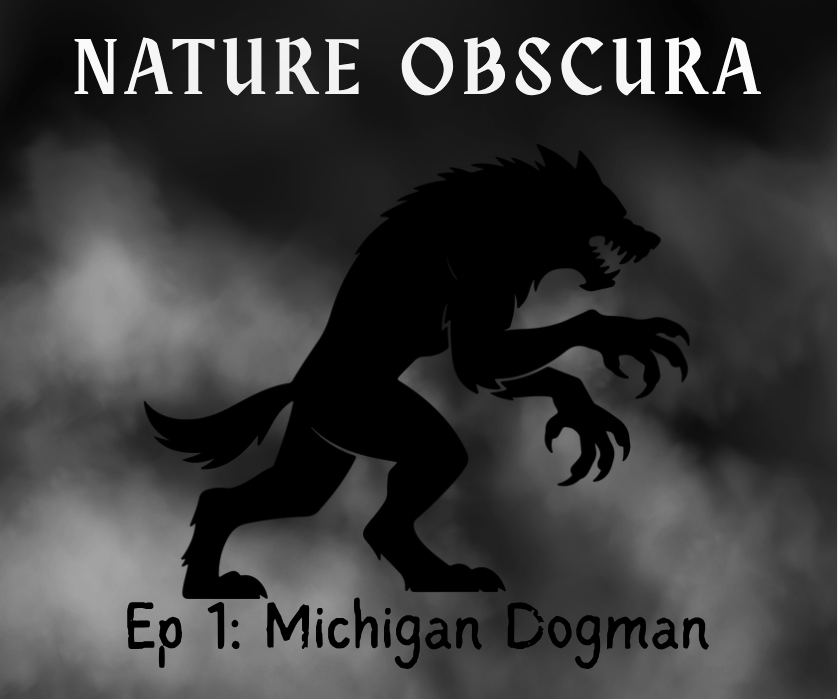 Michigan Dogman: Manistee National Forest Cryptid