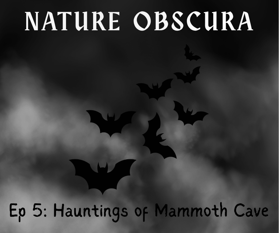Hauntings and History of Mammoth Cave: Mammoth Cave National Park