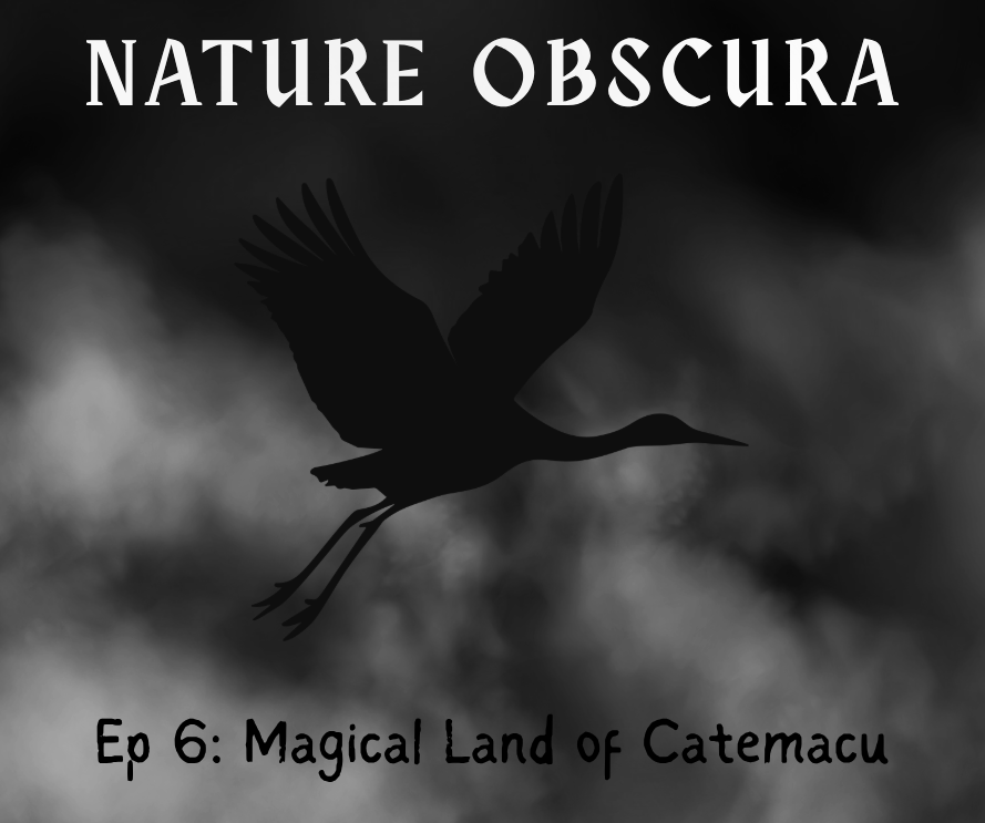 Catemaco Witchcraft Capital: Mexico’s Land of The Brujos 