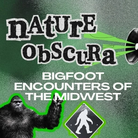 Midwest Bigfoot Encounters: Terrifying Wilderness Stories