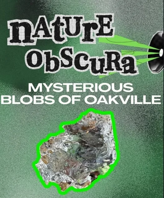 The Oakville Blobs: Washington’s Unsolved Toxic Rain Mystery