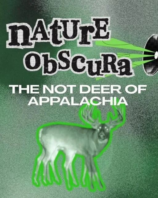 The Not Deer of Appalachia: Cryptozoology