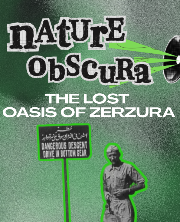 Lost Oasis of Egypt: The Legend and Secret History of Zerzura