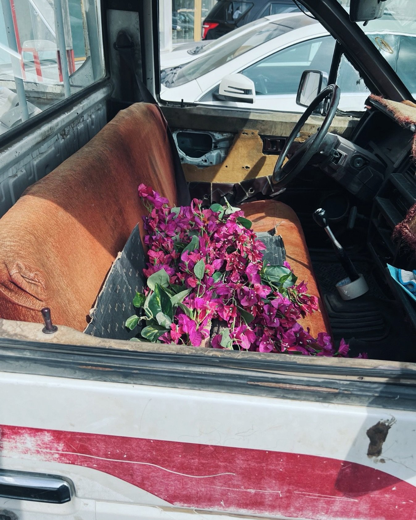 الخامس من نوفمبر ٢٠٢٢ - جهنمية في هايلوكس ، الشفاء ممكن . 
&rlm;November 5th 2022 - bougainvillea in hilux ,a sign to heal

- a very dear photograph

#vsco #vscocam #documentary #healing #bougailvillea #paperflower #intimajournal #riyadh