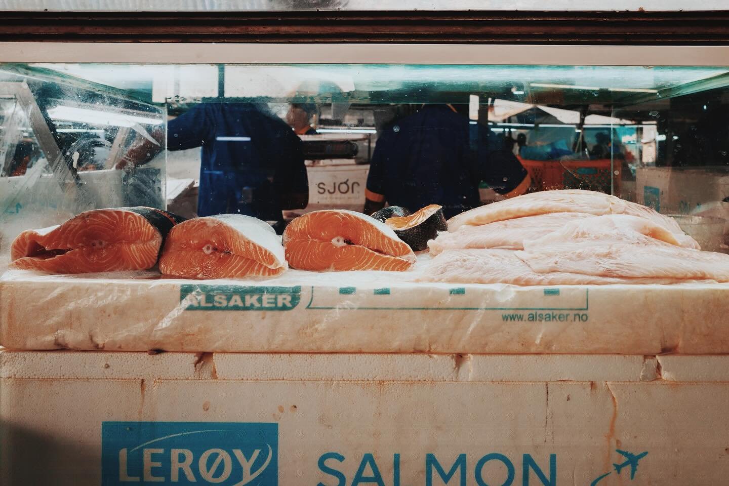 Salmon.
Fish market , jeddah.
سوق السمك، جدة. 

#fujifilmxt2 #documentaryphoto #jeddah #fish #vscocam #fujifilmme #fujifilmsa #saudiarabia#documentaryphotography