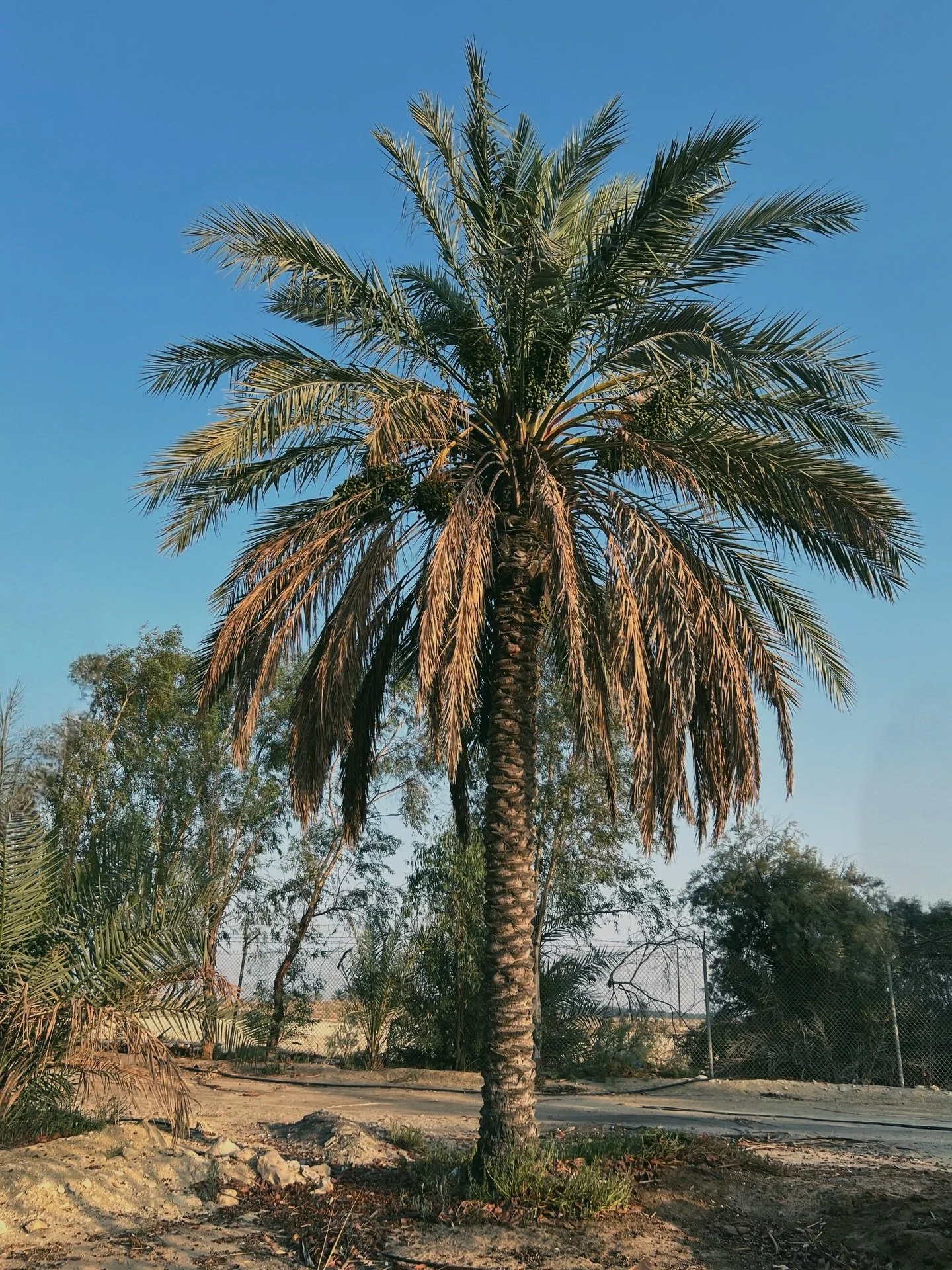 ⁨	⁨	⁨	⁨	⁨	⁨	عن النسيان

هل ننسى أنفسنا؟
ما هو النسيان؟
هل ننسى حقًا؟

تقدّم التعريفات الشائعة المتداولة عبر محرّكات البحث والذكاء الاصطناعي في عالم المعلومة السريعة وصفًا للنسيان بوصفه العجز عن استرجاع معلومات سبق تخزينها في الذاكرة. ورغم فائدته، يبق