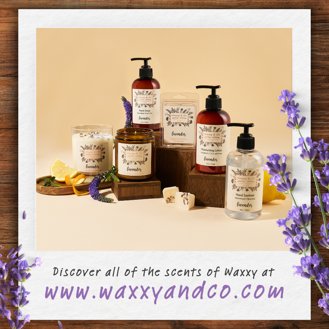New Waxxy designs - Second Phase (7).png