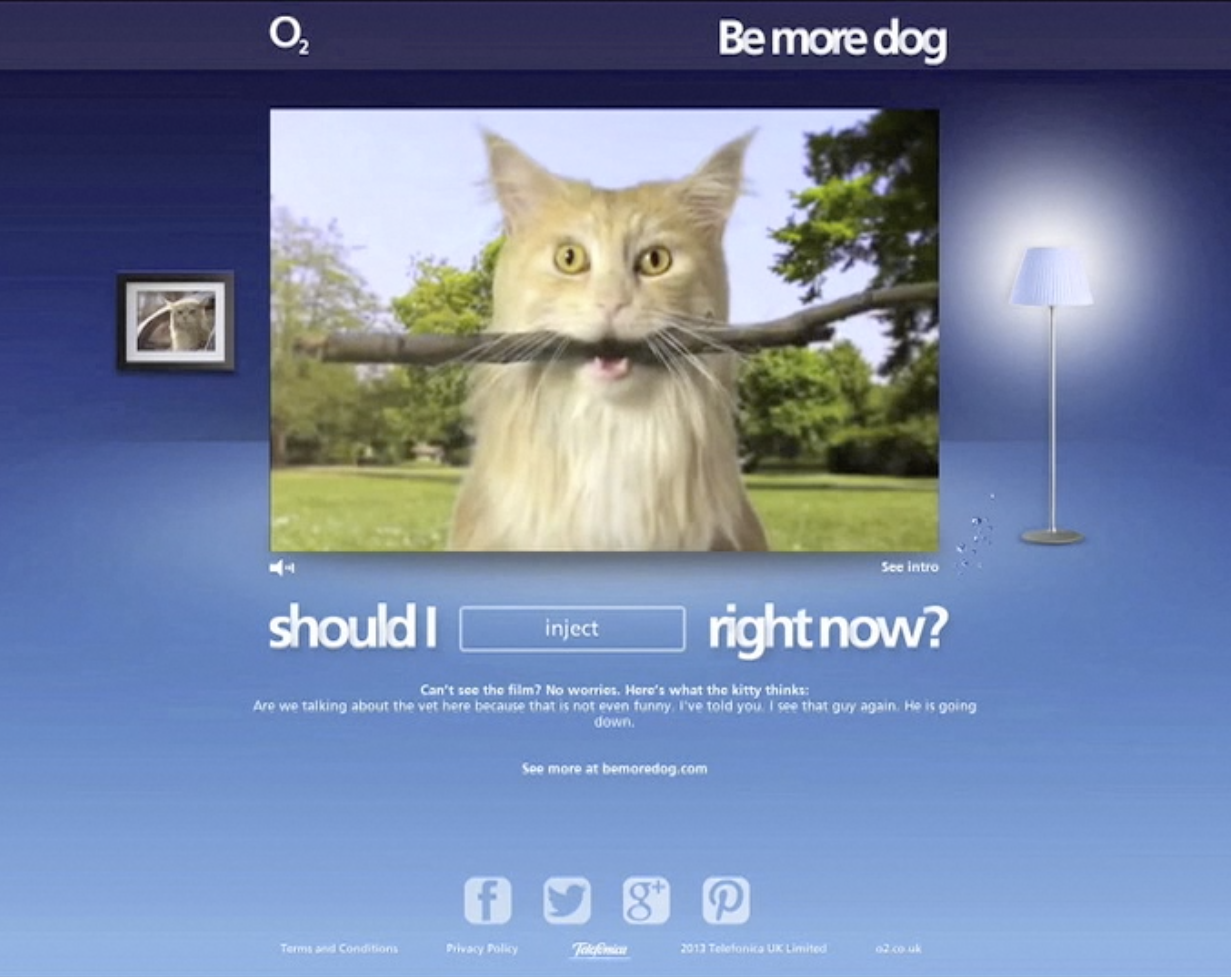 Cat2.png