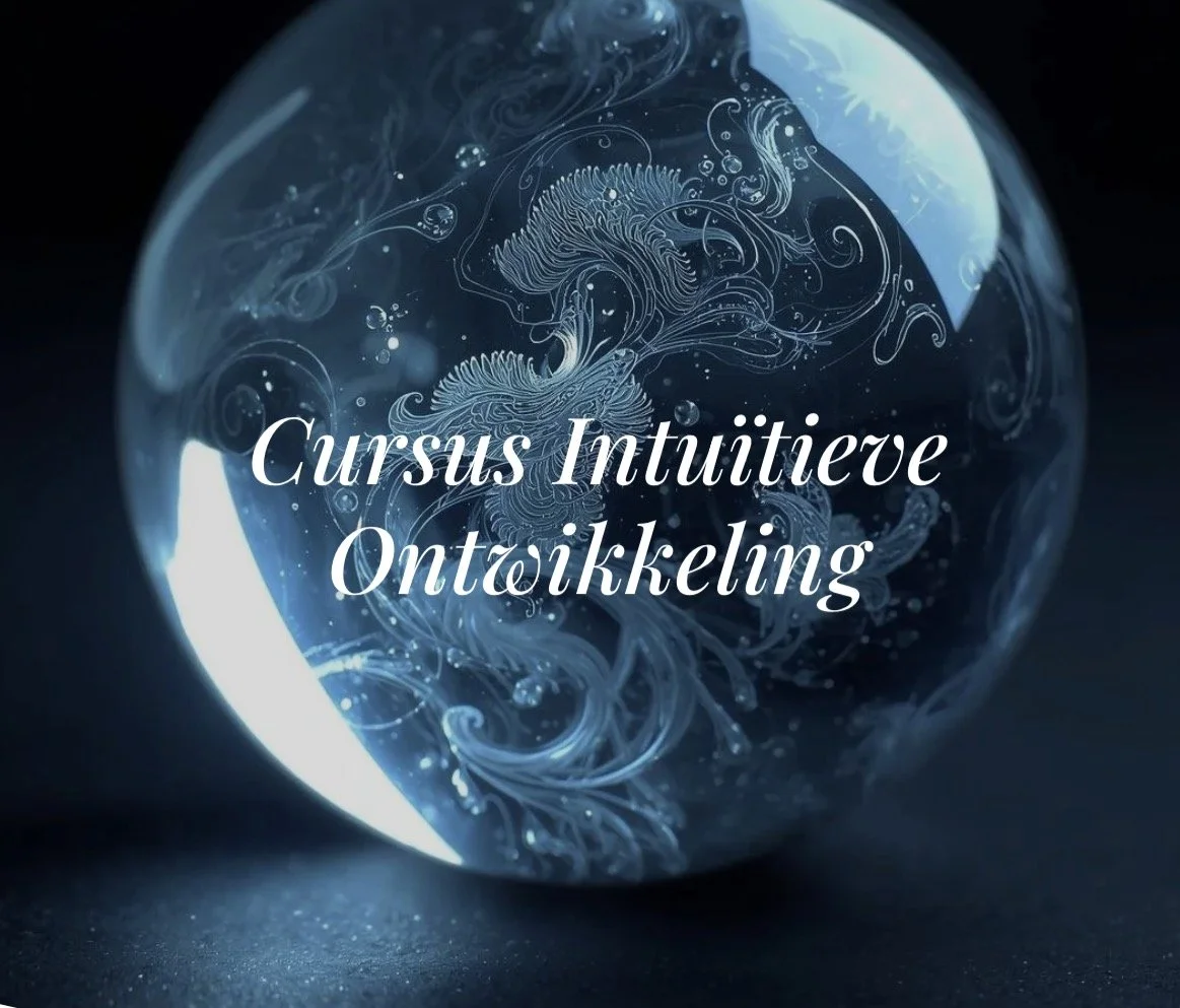 Start Intuïtieve ontwikkelingscursus