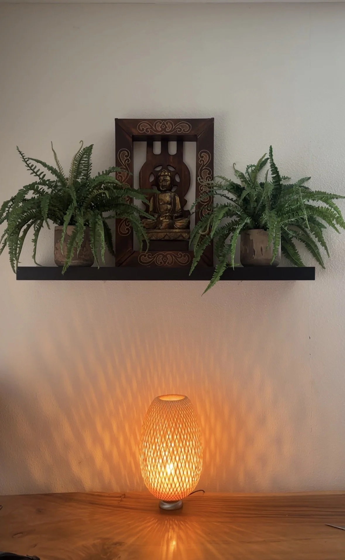 Release under the moon 