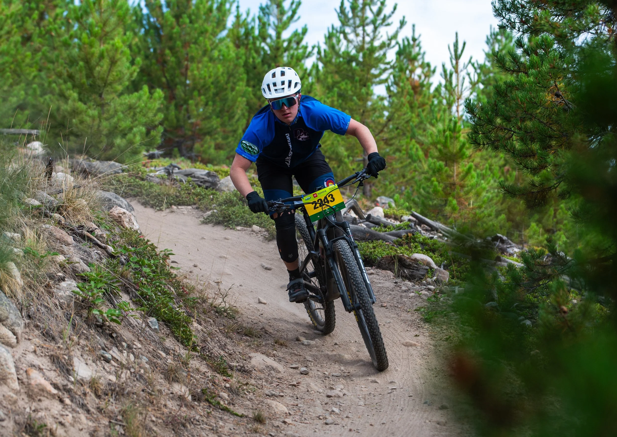 A mountain biker wearing a white helmet and blue jersey riding on a dirt trail surrounded by green trees.