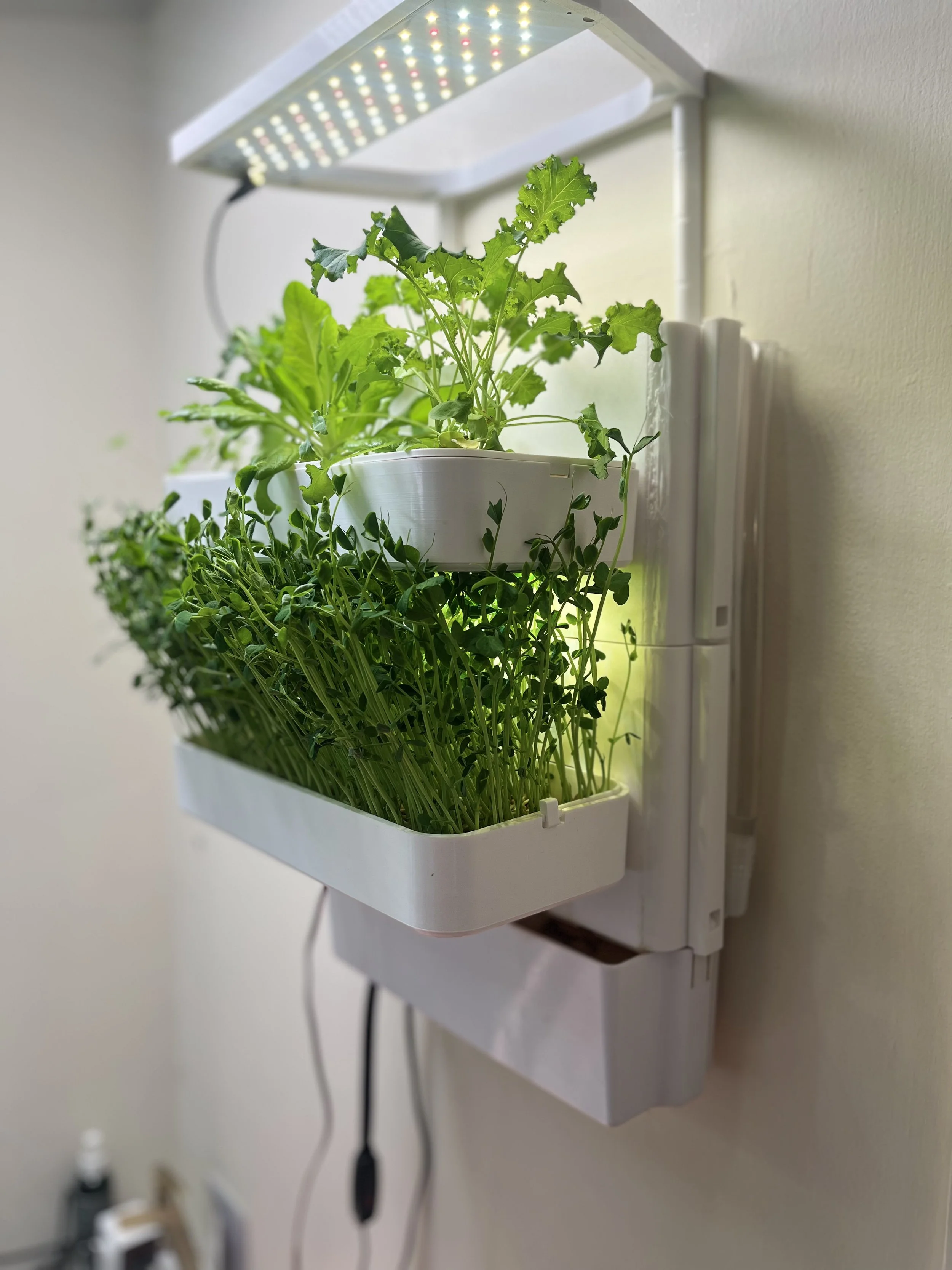 Wall-Mounted Indoor Hydroponic Garden