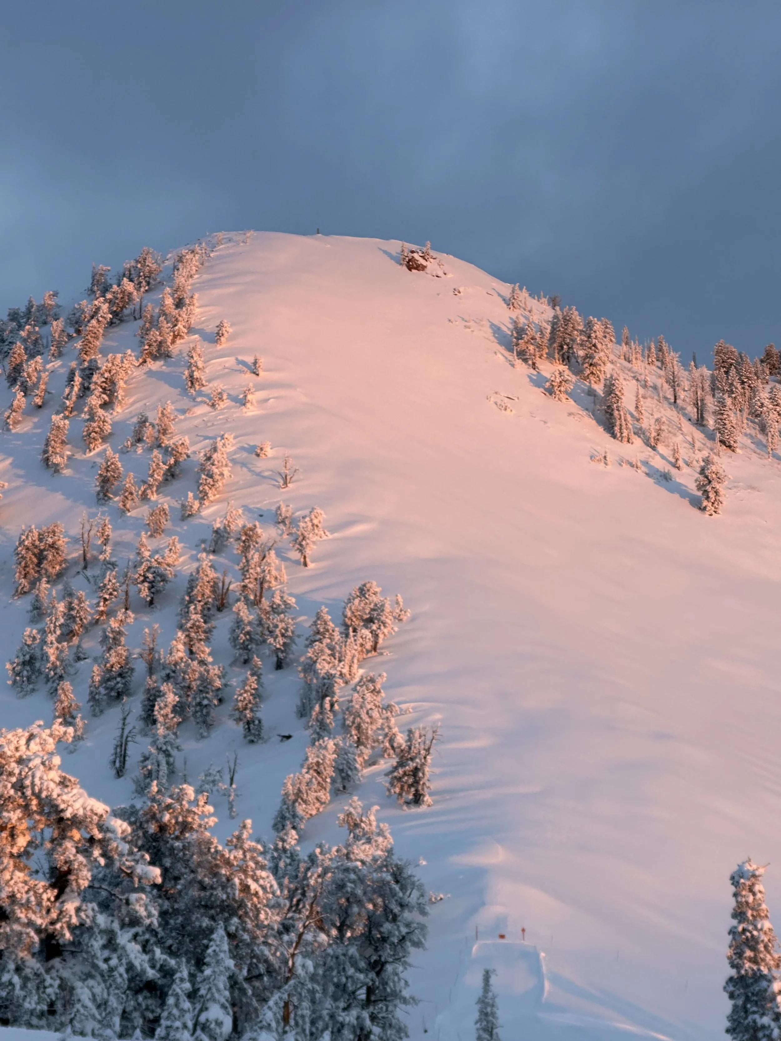 A Fresh Start in The Valley