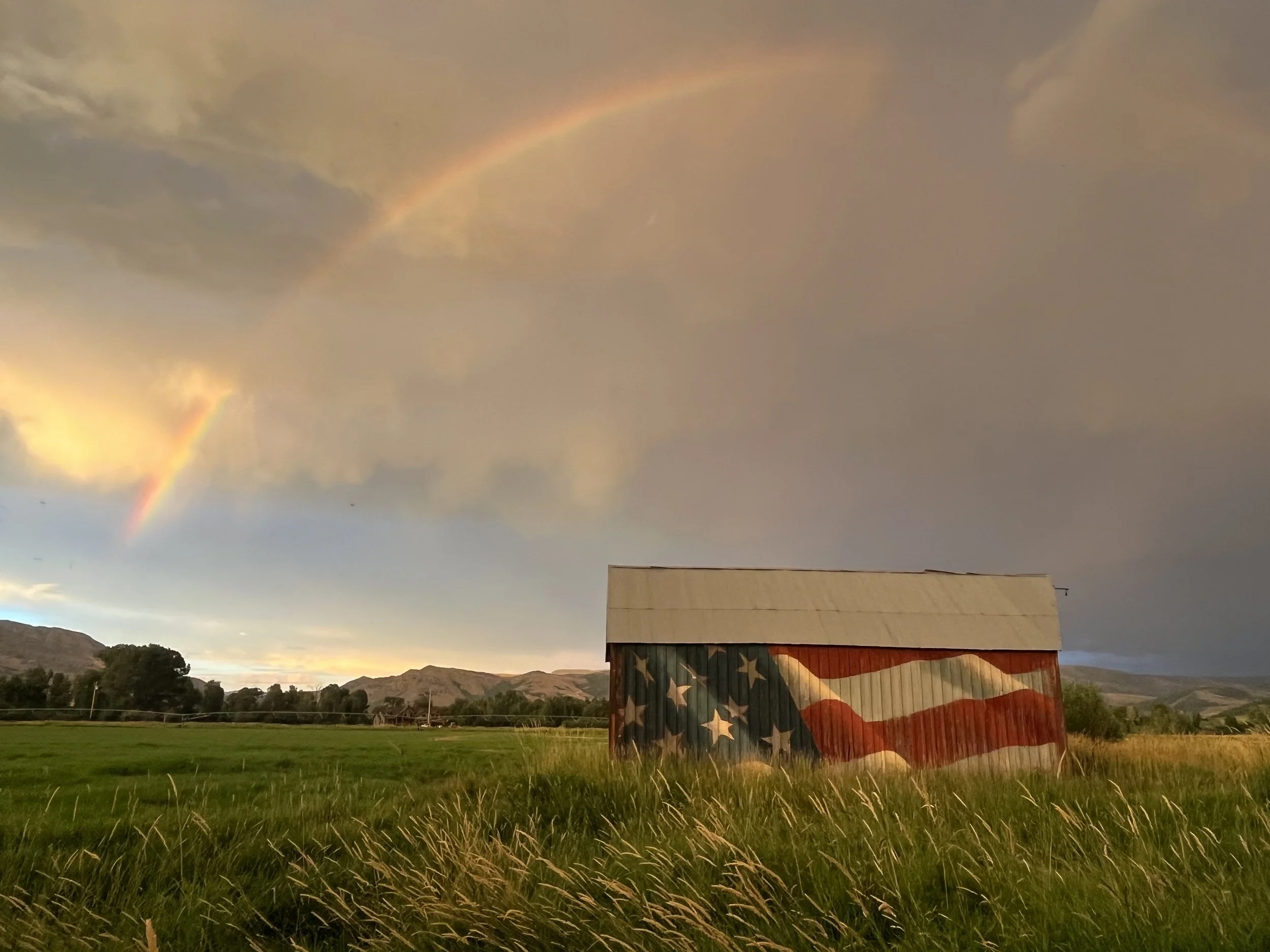 Photo Contest Winner, Is Winter Finally Showing up? 