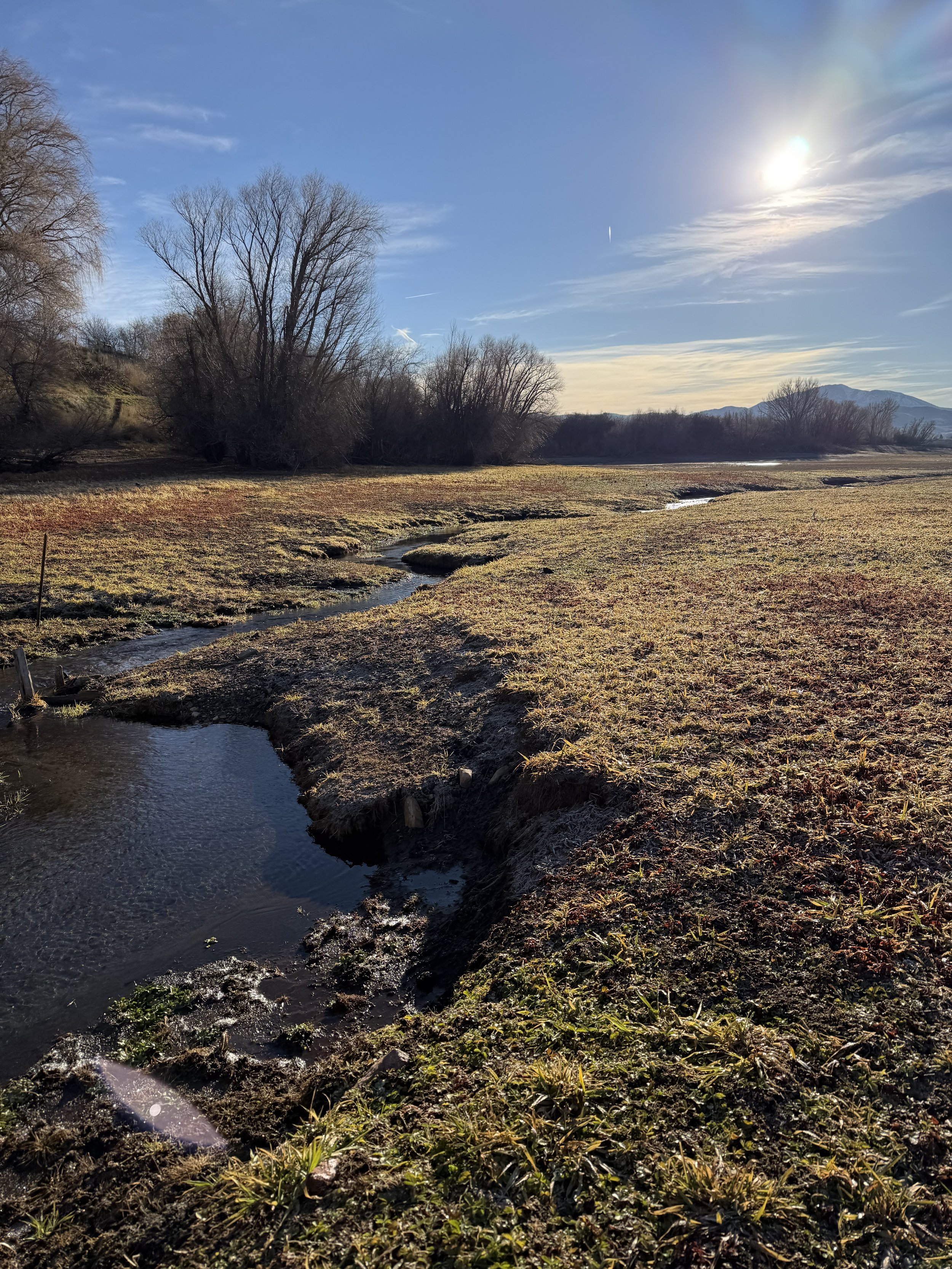 Why Everyone Is Searching for Wellness — And Why They’re Finding It in Ogden Valley